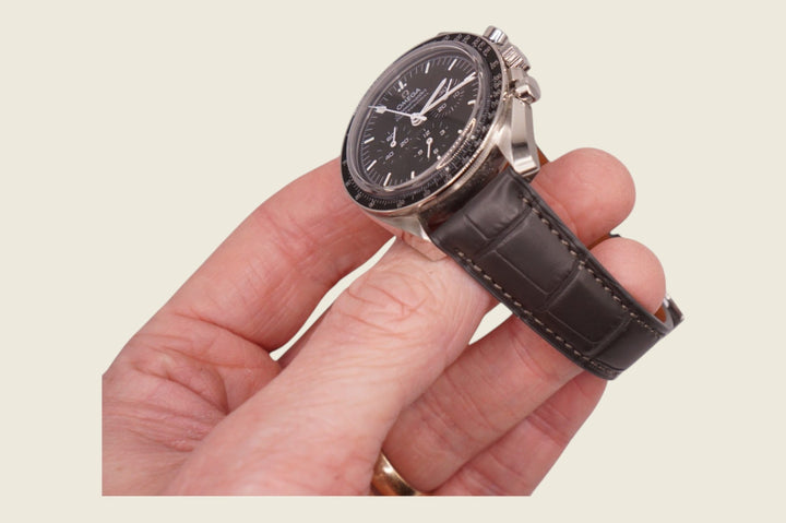 Alligator Padded Strap Watch Straps